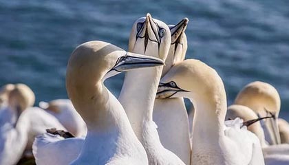 开云体育入口-英雄联盟 冬季赛激战正酣，lol冬季赛2020什么时候开始