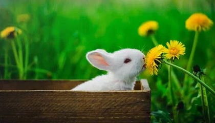 开云体育入口-英雄联盟 冬季赛激战正酣，lol冬季赛2020什么时候开始