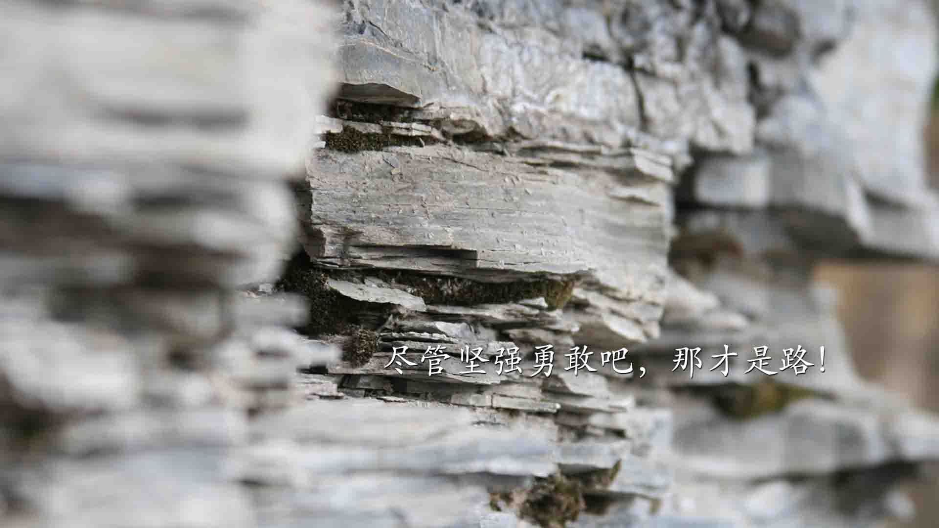 拜仁主场大胜，提前锁定晋级资格，拜仁各项赛事连胜