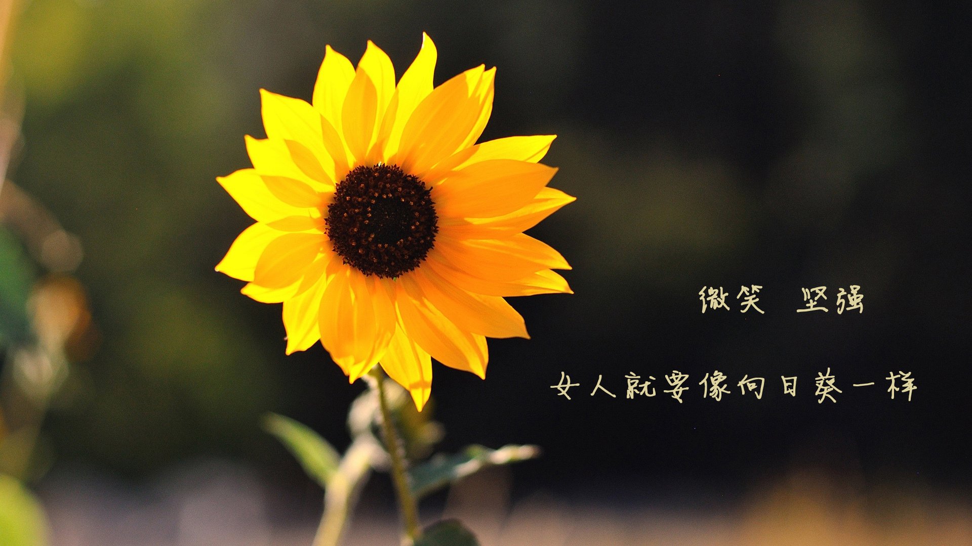罗马州德比敞开战幕，两队凶猛对碰，罗马德比和米兰德比