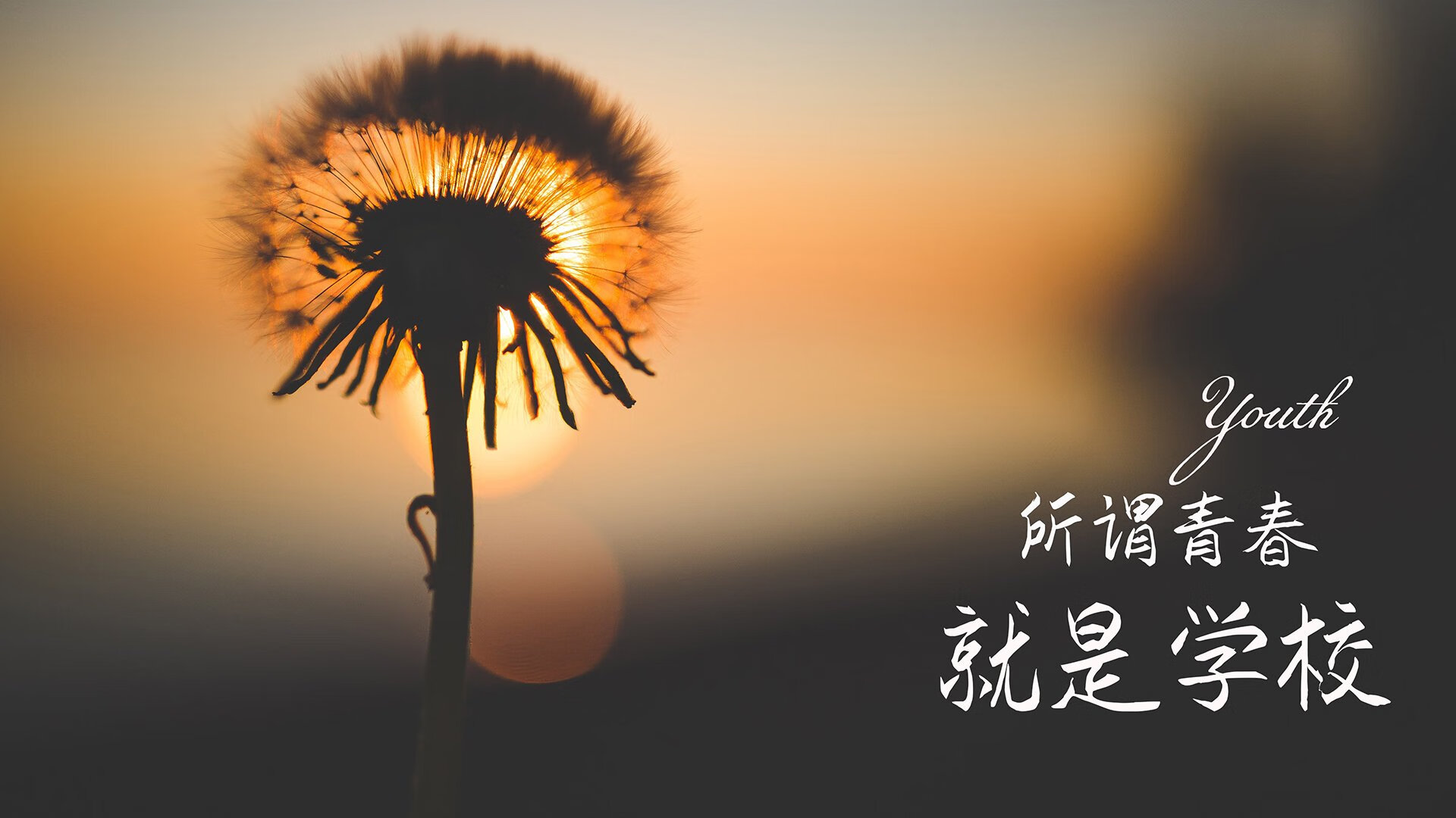 图卢兹中场调度带动节奏连贯输出，图卢兹crous